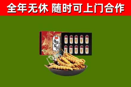 鲤城回收冬虫夏草价格