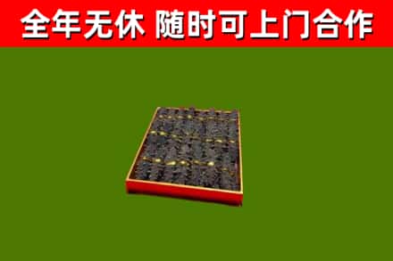鲤城回收海参